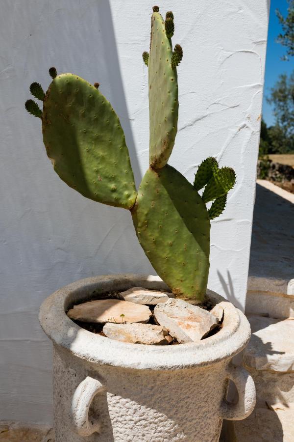 Il Trullo Della Rondinina Villa Alberobello Dış mekan fotoğraf