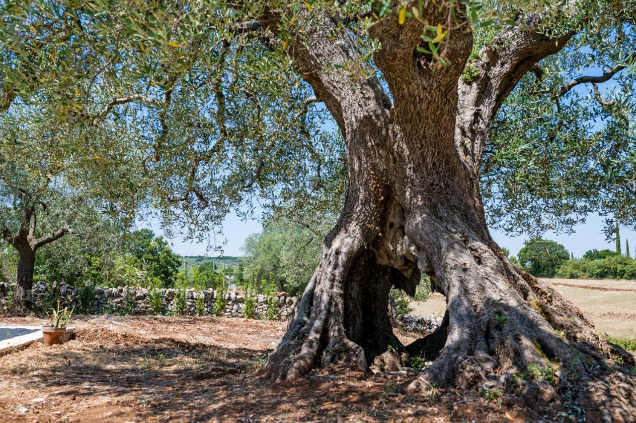 Il Trullo Della Rondinina Villa Alberobello Dış mekan fotoğraf