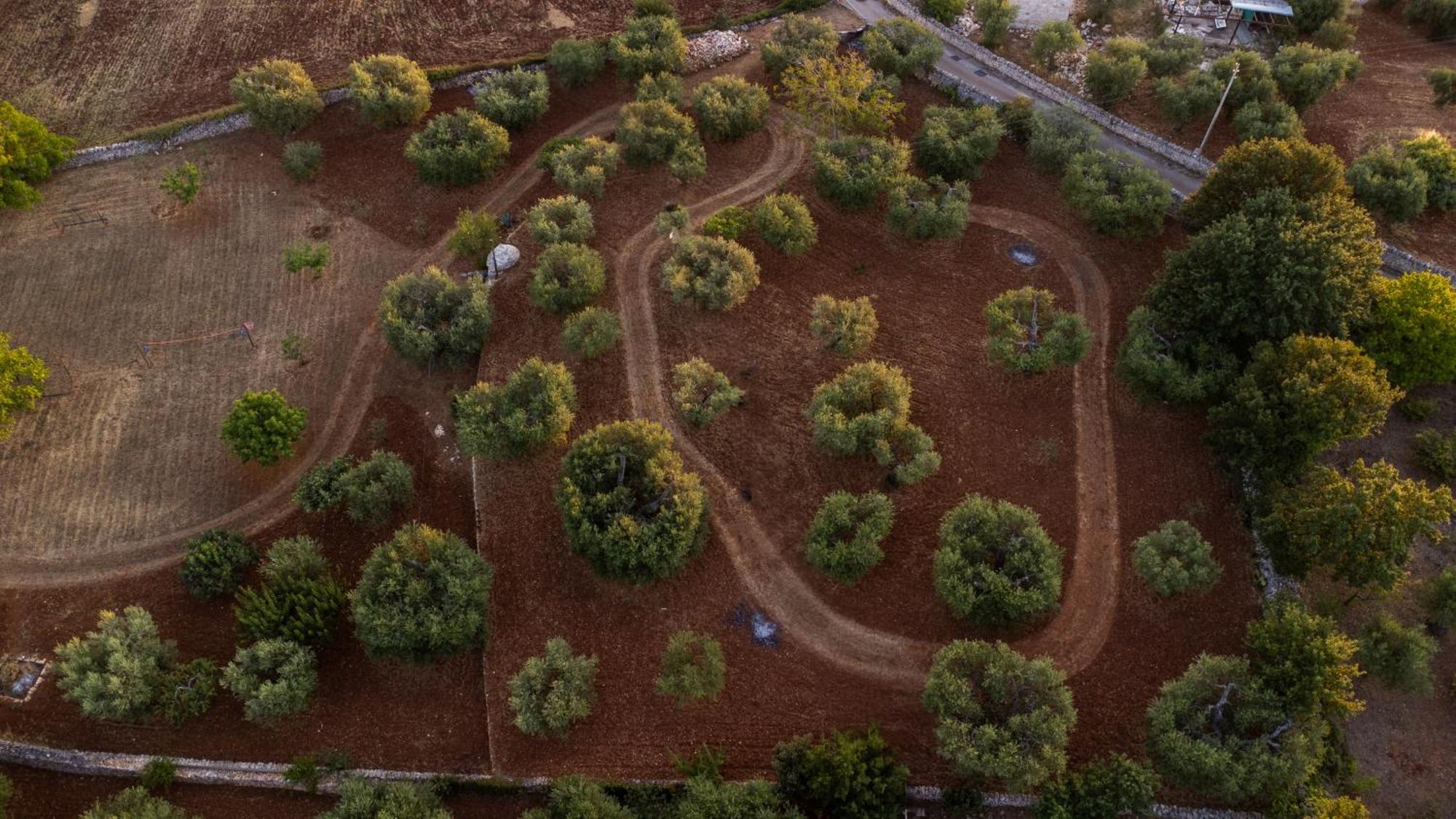 Il Trullo Della Rondinina Villa Alberobello Dış mekan fotoğraf