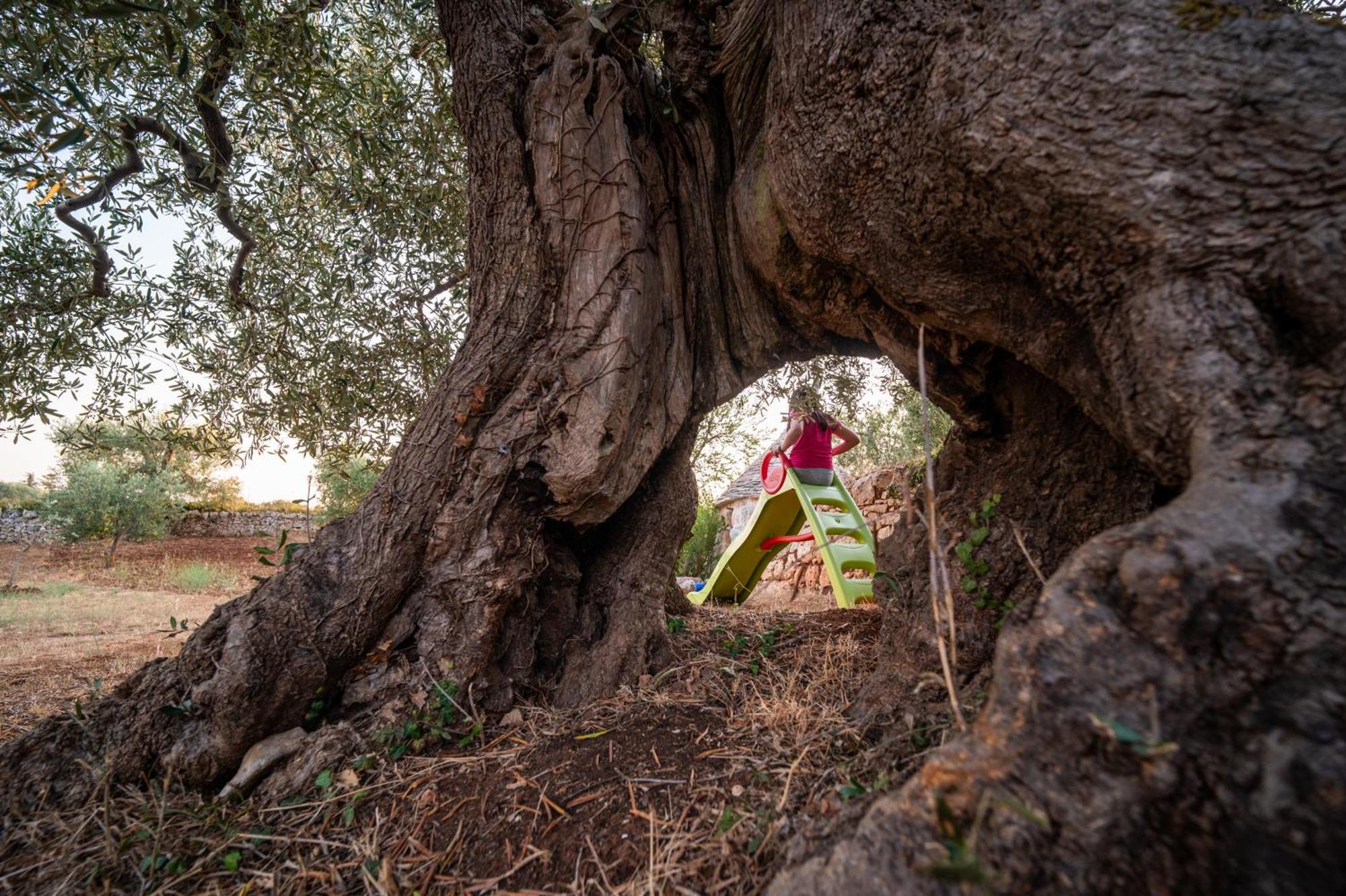 Il Trullo Della Rondinina Villa Alberobello Dış mekan fotoğraf